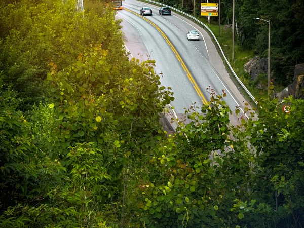 Bypakke Moss - hva vil den bety for næringslivet?
